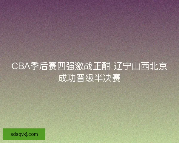 CBA季后赛四强激战正酣 辽宁山西北京成功晋级半决赛